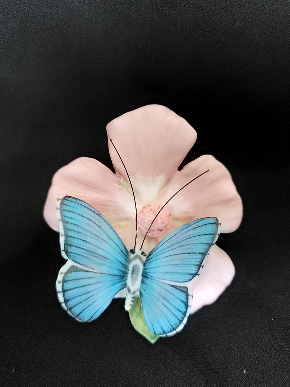 Adonis Blue Butterfly Collectible